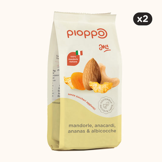 Mix Mandorle, Ananas, Anacardi & Albicocche