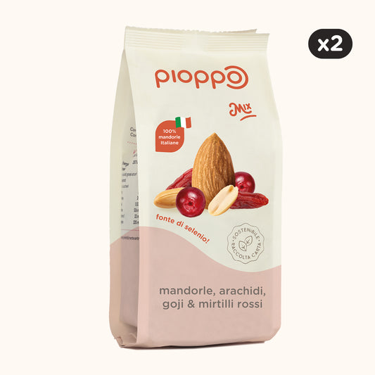 Mix Mandorle, Arachidi, Bacche di Goji e Mirtilli Rossi